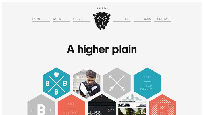 Buffalo Design